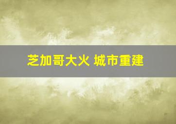 芝加哥大火 城市重建